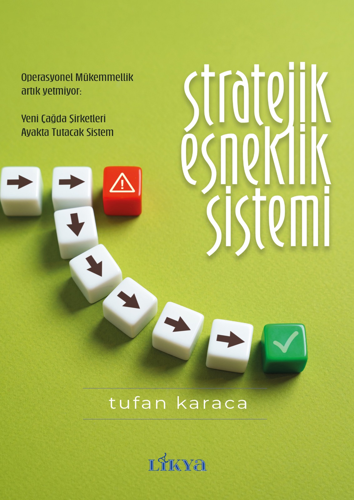 Stratejik Esneklik Sistemi kapağı